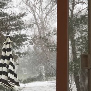 Meet your Posher, Reily